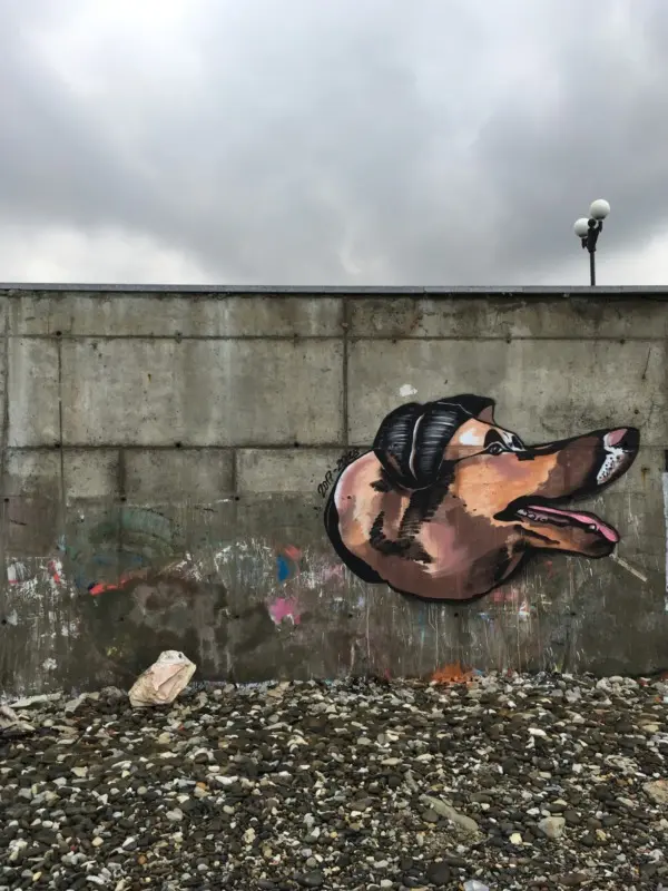 Андрей Druce Boxcar – Фауна 1