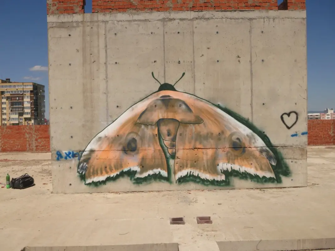 Андрей Druce Boxcar – Фауна 5