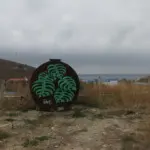 Андрей Druce Boxcar – Флора 10