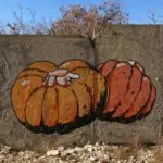 Андрей Druce Boxcar – Флора 12