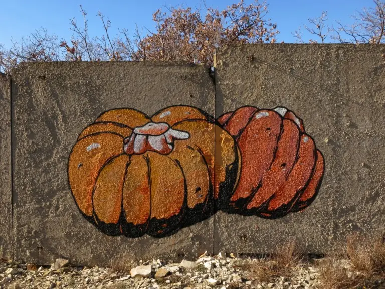 Андрей Druce Boxcar – Флора 12