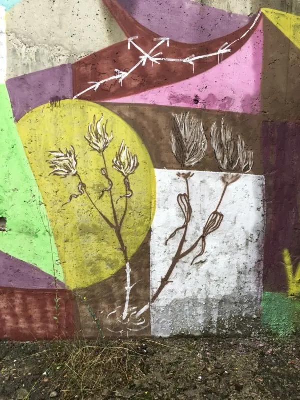 Андрей Druce Boxcar – Флора 15