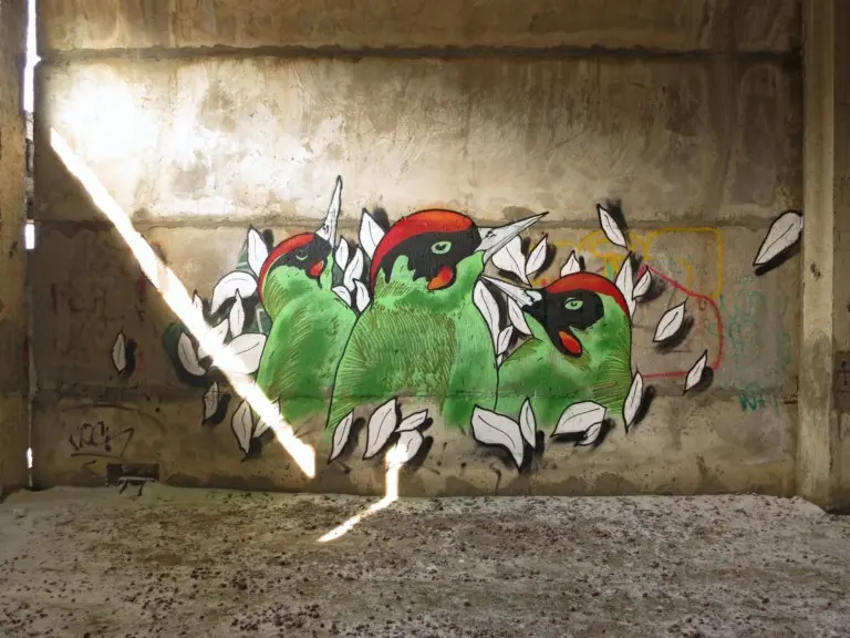 Андрей Druce Boxcar – Флора 18