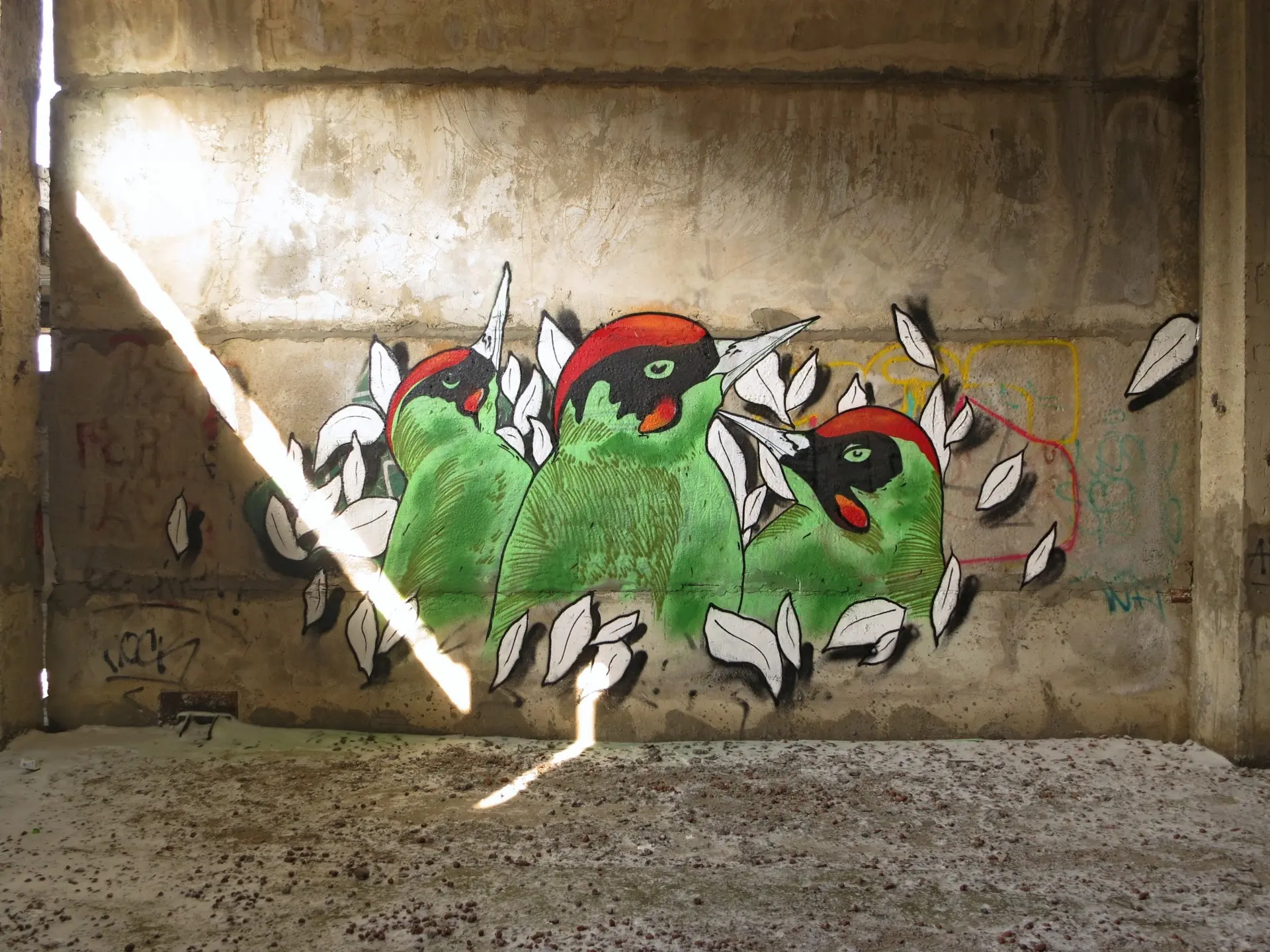 Флора 18 Андрей Druce Boxcar – Флора 18