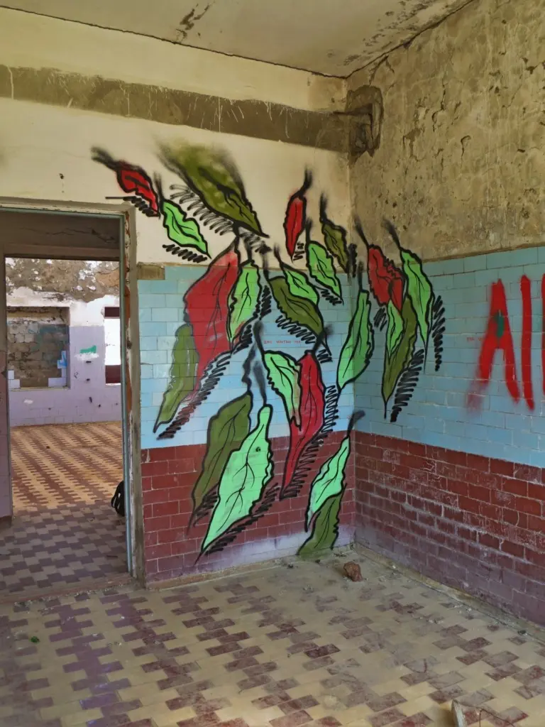 Андрей Druce Boxcar – Флора 20