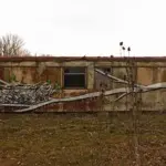 Андрей Druce Boxcar – Флора 21