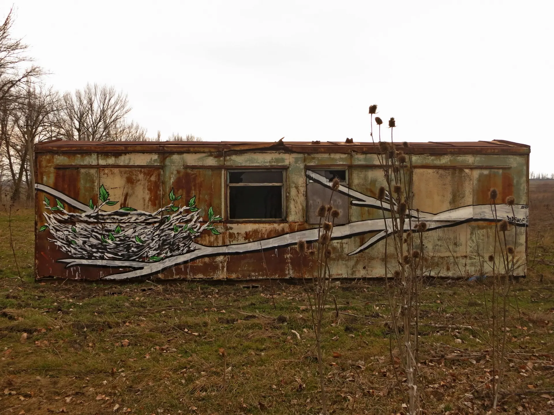 Флора 21 Андрей Druce Boxcar – Флора 21