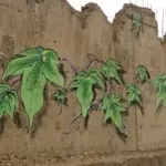 Андрей Druce Boxcar – Флора 22