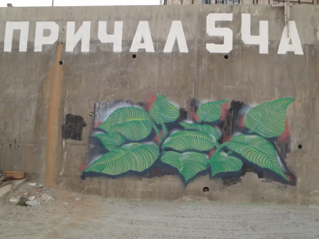 Андрей Druce Boxcar – Флора 30