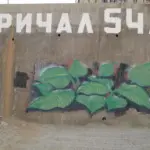 Андрей Druce Boxcar – Флора 30