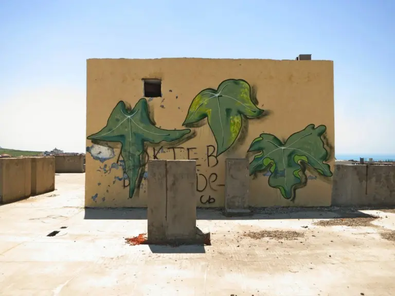 Андрей Druce Boxcar – Флора 32