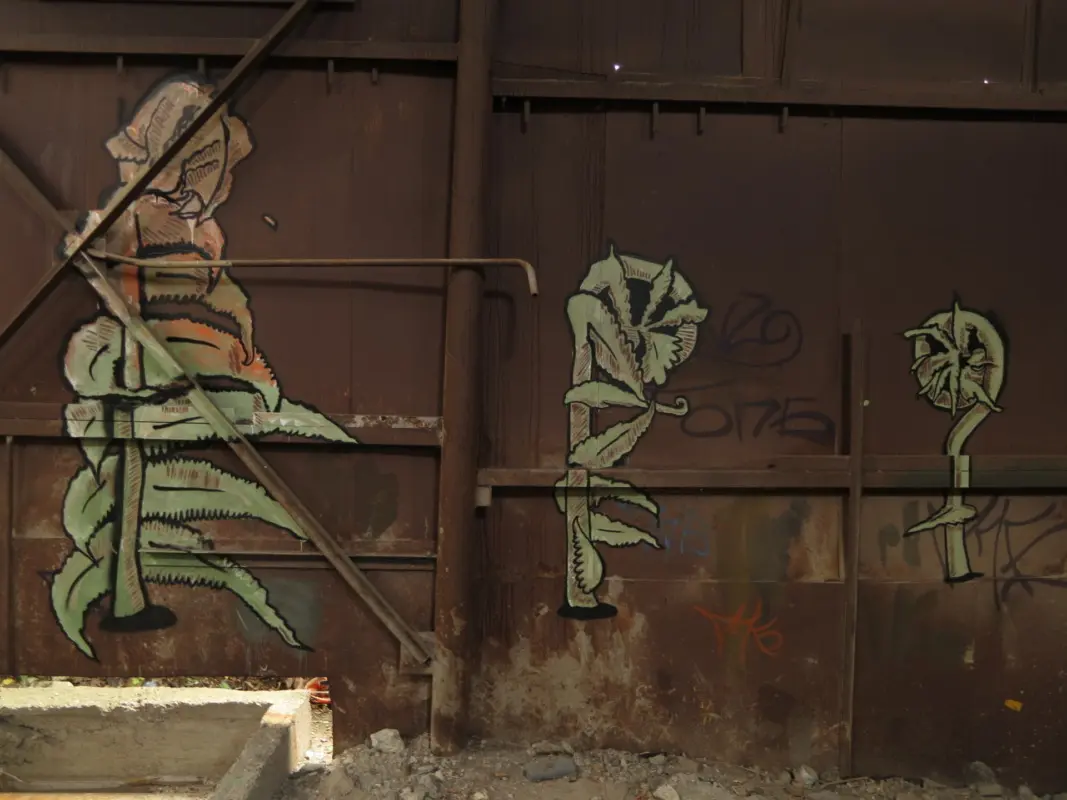 Андрей Druce Boxcar – Флора 5