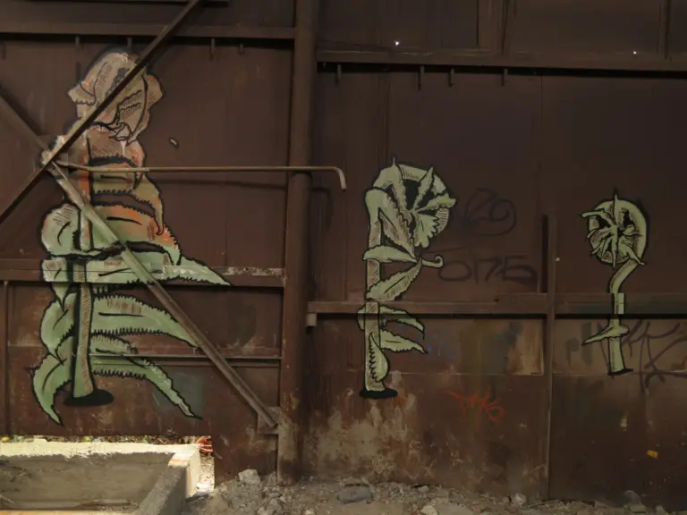 Андрей Druce Boxcar – Флора 5