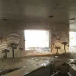 Андрей Druce Boxcar – Флора 6