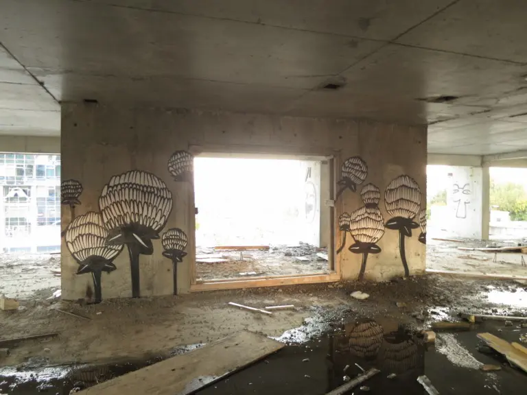 Андрей Druce Boxcar – Флора 6