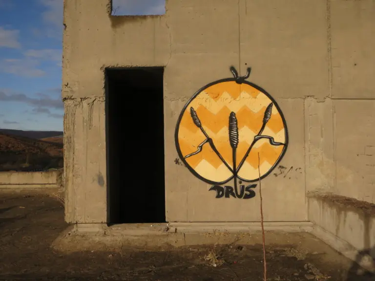 Андрей Druce Boxcar – Флора 8