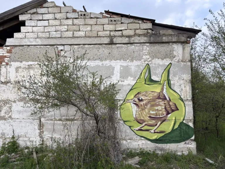 Андрей Druce Boxcar – Пакет 14