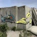 Андрей Druce Boxcar – Пакет 6