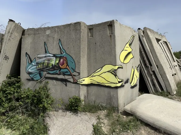 Андрей Druce Boxcar – Пакет 6