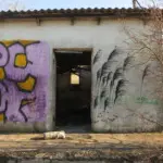 Андрей Druce Boxcar – Разное 12