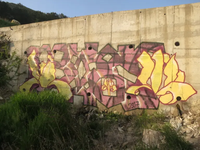 Андрей Druce Boxcar – Разное 14