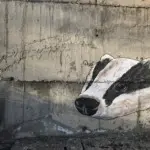 Андрей Druce Boxcar – Разное 15