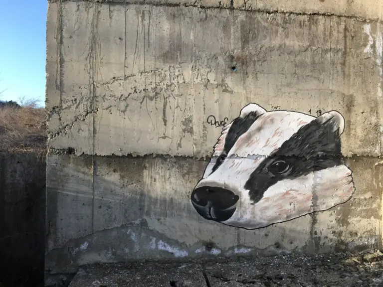 Андрей Druce Boxcar – Разное 15