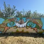 Андрей Druce Boxcar – Разное 17