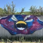 Андрей Druce Boxcar – Разное 18