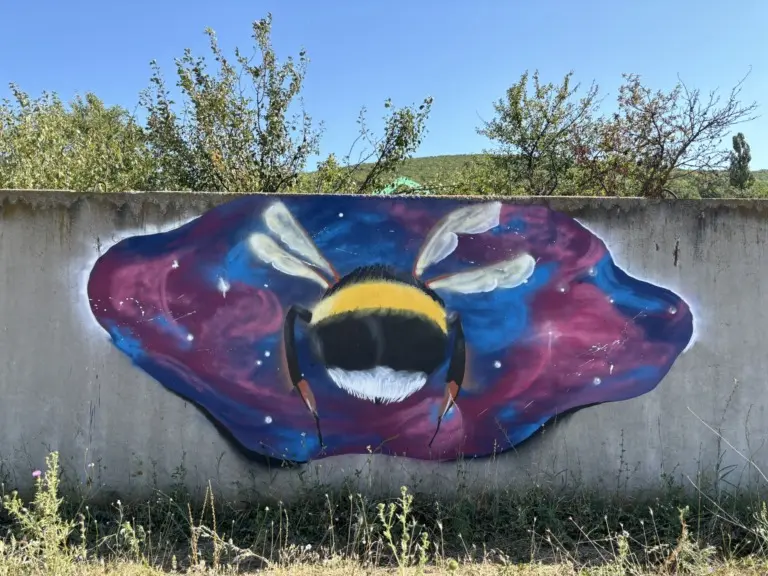 Андрей Druce Boxcar – Разное 18