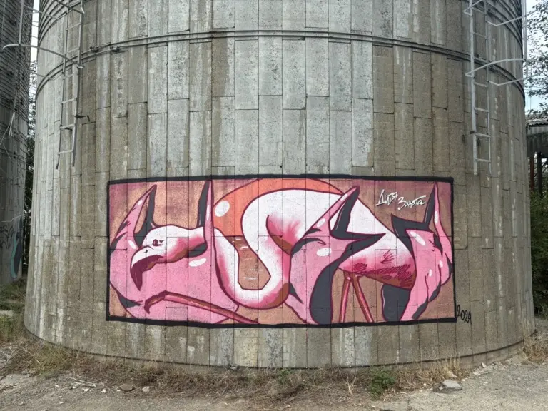 Андрей Druce Boxcar – Разное 19