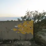 Андрей Druce Boxcar – Разное 7