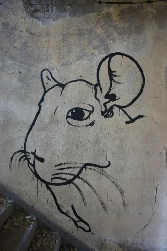 Андрей Druce Boxcar – Шиншилла 1