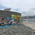 Андрей Druce Boxcar – Шиншилла 11