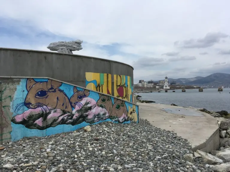 Андрей Druce Boxcar – Шиншилла 11