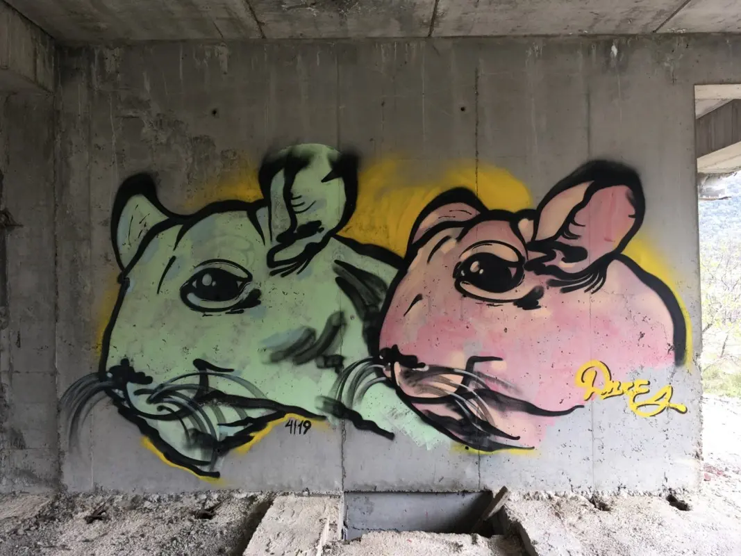 Андрей Druce Boxcar – Шиншилла 12