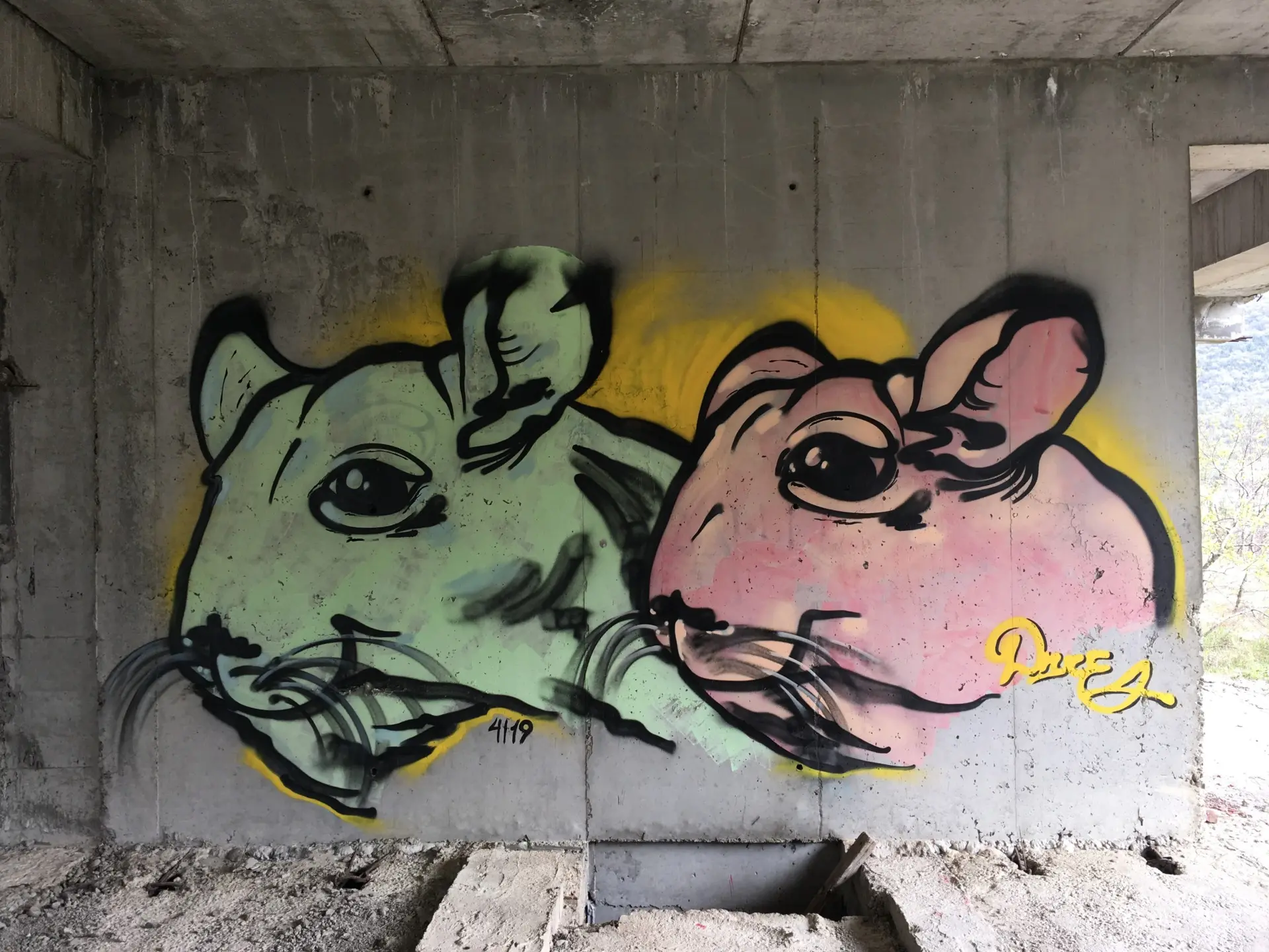 Шиншилла 12 Андрей Druce Boxcar – Шиншилла 12