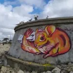 Андрей Druce Boxcar – Шиншилла 13