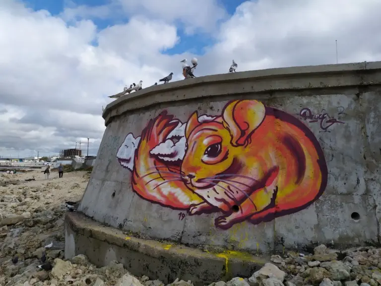 Андрей Druce Boxcar – Шиншилла 13