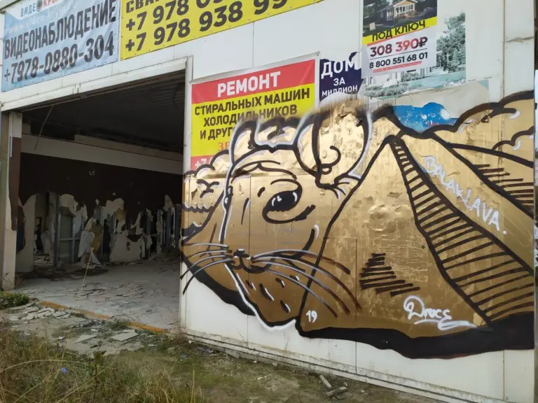 Андрей Druce Boxcar – Шиншилла 14