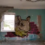 Андрей Druce Boxcar – Шиншилла 15