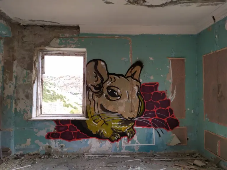 Андрей Druce Boxcar – Шиншилла 15