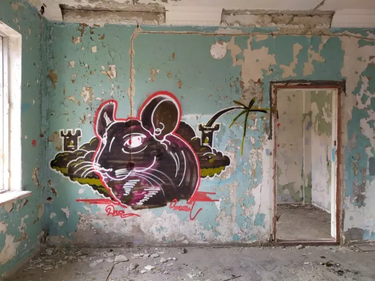 Андрей Druce Boxcar – Шиншилла 16