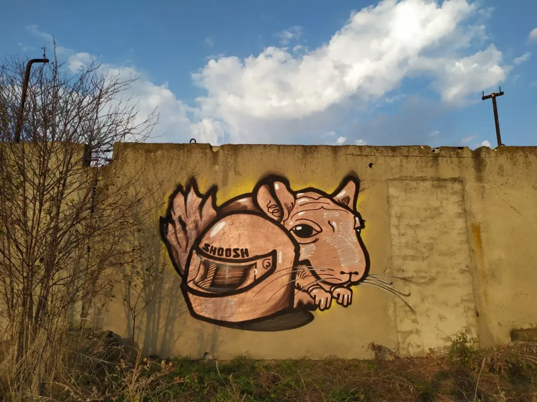 Андрей Druce Boxcar – Шиншилла 19