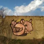 Андрей Druce Boxcar – Шиншилла 19