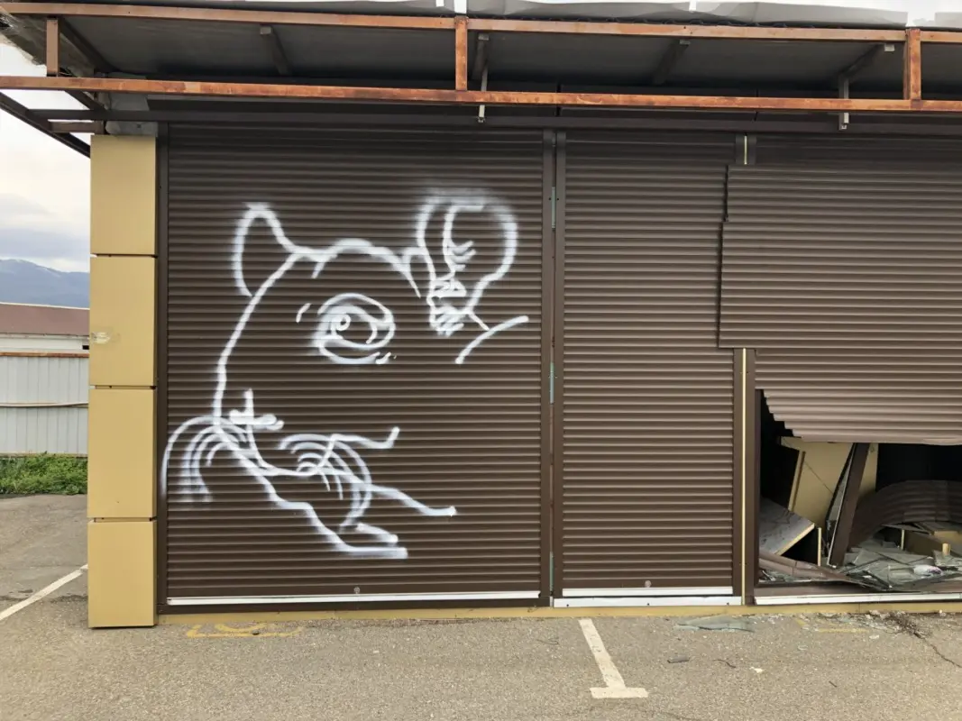 Андрей Druce Boxcar – Шиншилла 2