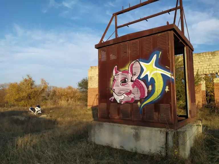 Андрей Druce Boxcar – Шиншилла 20