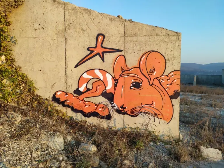 Андрей Druce Boxcar – Шиншилла 21