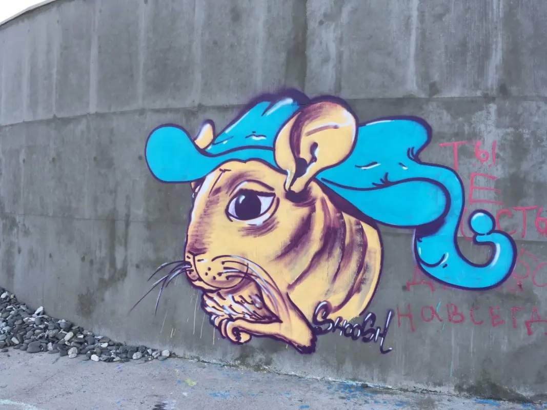 Андрей Druce Boxcar – Шиншилла 6