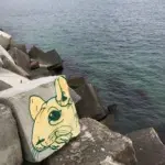 Андрей Druce Boxcar – Шиншилла 7